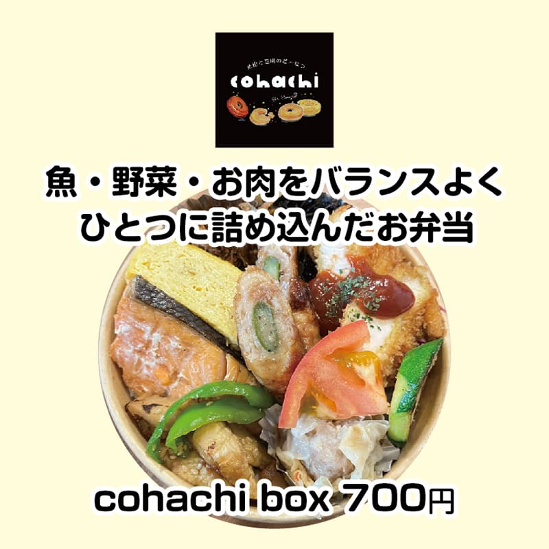 cohachi_02